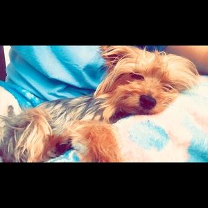 Meet your Posher, Valerie